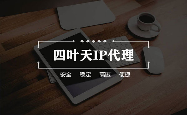 【大丰代理IP】如何快速搭建代理IP？怎么检查代理的效果？