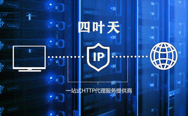 【大丰代理IP】代理IP的主要用途和使用注意事项